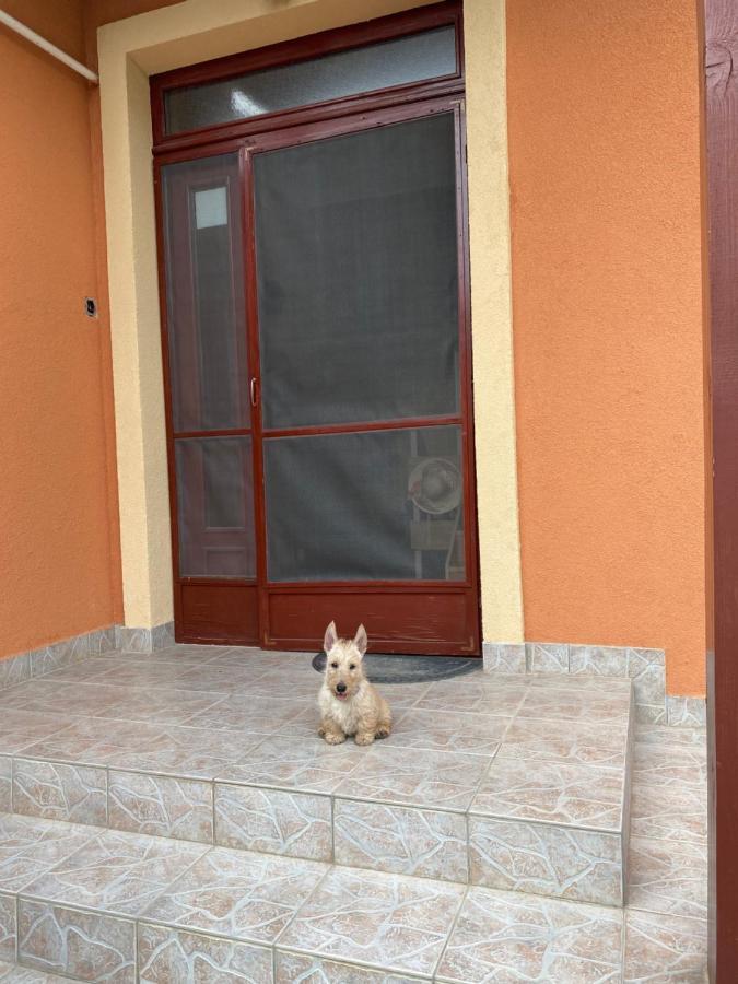 Apartman Dora Hajdúszoboszló Exterior foto