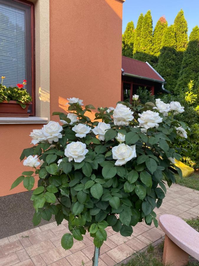 Apartman Dora Hajdúszoboszló Exterior foto
