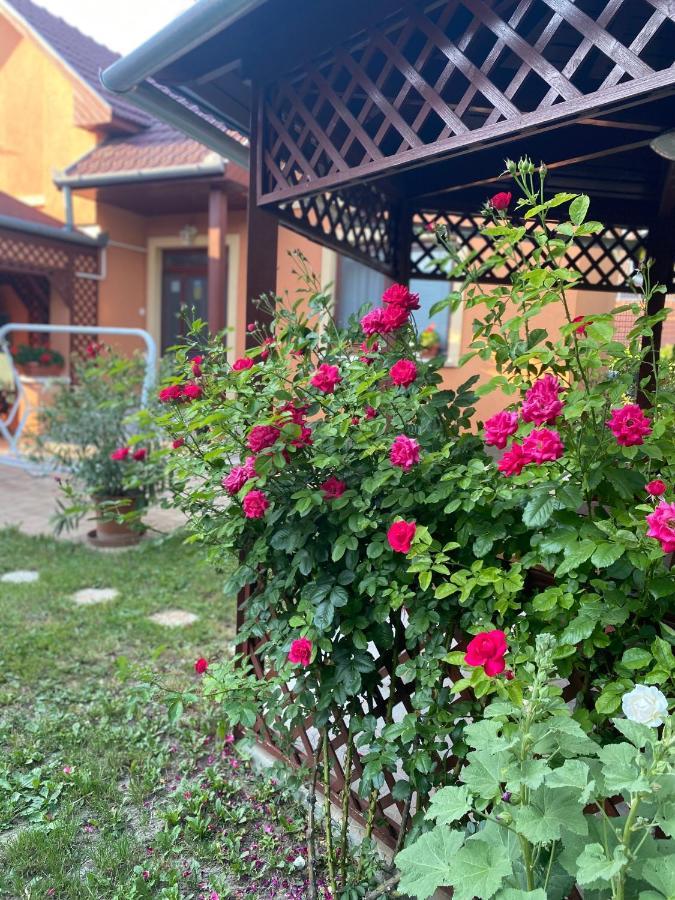 Apartman Dora Hajdúszoboszló Exterior foto